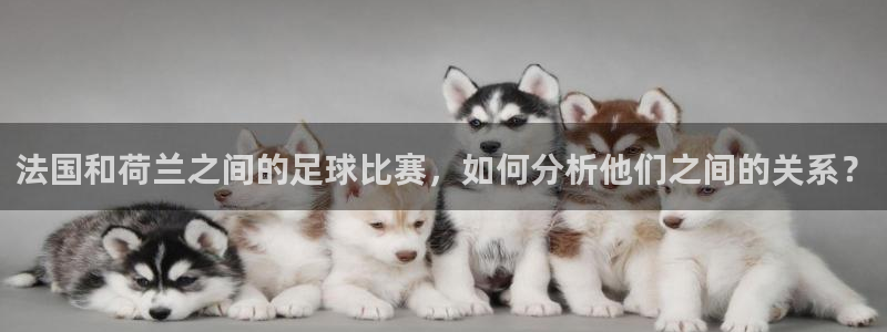 亚洲杯比赛直播:法国和荷兰之间的足球比赛,如何分析他们之间的关系?