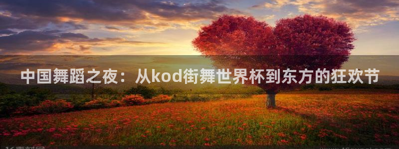 世界杯预选赛亚洲区赛程:中国舞蹈之夜:从kod街舞世界杯到东方的狂欢节