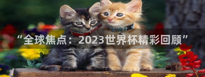 世界杯比赛赛程:“全球焦点:2023世界杯精彩回顾”