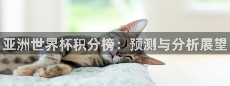 法国杯2026赛程表:亚洲世界杯积分榜:预测与分析展望
