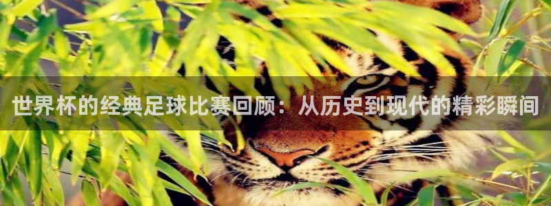 世界杯足球直播:世界杯的经典足球比赛回顾:从历史到现代的精彩瞬间